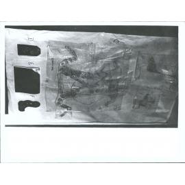 Sheet 1 "A. BirdB. HumanC. HumanD. Incised curvilinear & Spiral motifE. Photo of dog."