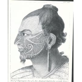 Head of Olegoongoon, son of a NZ Chief, the face curiousity, tataow"d