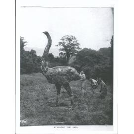 Hiroa, Te Rangi, Dr Wi Repa & Nuku, & student [Sir Peter Henry Buck]