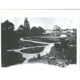 Gardens of the Cawthorn Institute, Nelson, N.Z.