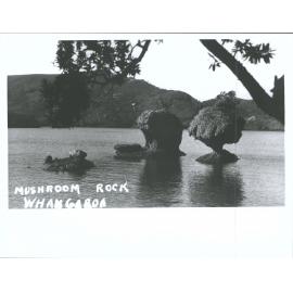 Mushroom Rock, Whangaroa