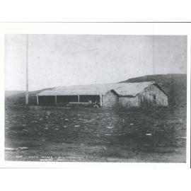 King's Palace - Whatiwhatihoe