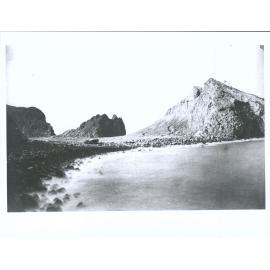 Landing cove at White Island