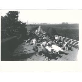 "Elm Grove", Kirkland's Farm