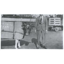 [Cow before getting on the ship]