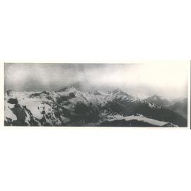 Sefton and Cook from Sealy