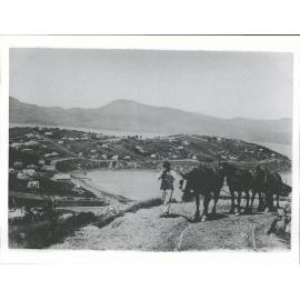 J Stumbles with horse team transporting rails for construction of Dunedin-Moeraki railway