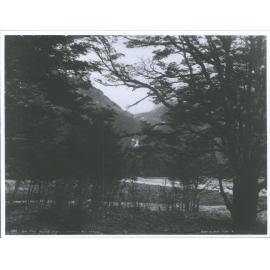 "On the Routeburn - Martins Bay Track"