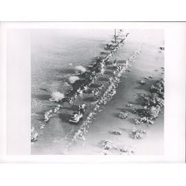 Aerial photograph of farmer herding stock through floodwater