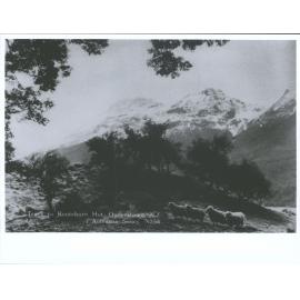 Track to Routeburn Hut, Queenstown, N.Z.
