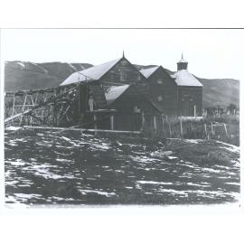 Tapanui Flour Mill, Blue Mountains in background