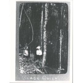 Black Gully