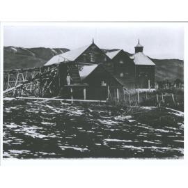 Tapanui Flour Mill, Blue Mountains in background