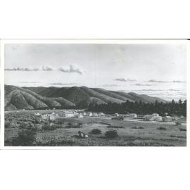 Tapanui