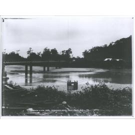 Bridge & Wire Tram, Teremakau River, West Coast, N.Z.