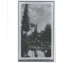 The Gardens, Ngaire, Taranaki, N.Z.