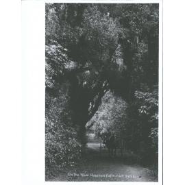 On the Road, Dawson Falls