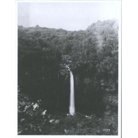 Dawson Falls, Mount Taranaki