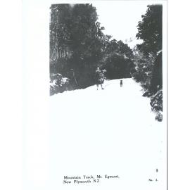 Mountain Track, Mt. Egmont, New Plymouth, N.Z.