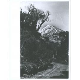 Mount Egmont, Mountain Track