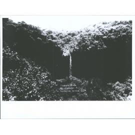 Dawson Falls, Mt. Egmont, N.Z.