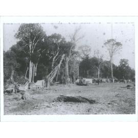 Photo of woodcutters