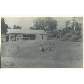 Southland: Shed with hens