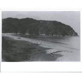 Totaranui, Looking North to Headland