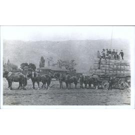 Seven ton load wool at Clyde railhead