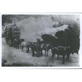 [Largest load of wool, 52 bales, driven over Raes Junction Hill by Mr William Leslie, Alex Stevens & George Leslie]