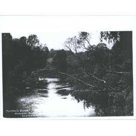 Munro's Bush, Mimihau River, Wyndham