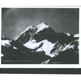 Mt Tasman, N.Z., from Weheka