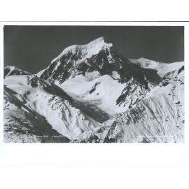 Mt Tasman, N.Z., from Weheka