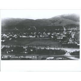 Panorama of Taumarunui, N.Z.