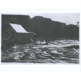 The Black Terraces at "The Terraces", Taupo