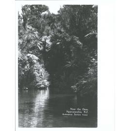 Near the Dam, Ngaruawahia, N.Z.