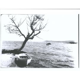 Lake Taupo, North Island, N.Z.