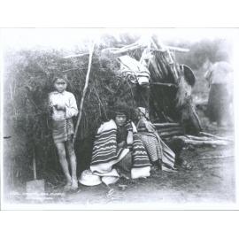 Tawhata - King Country