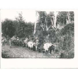 Rough trip near Ohakune'