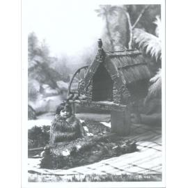 Maori Portraits: Unidentified Child