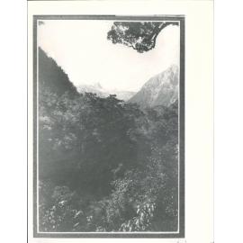 View above Glade House