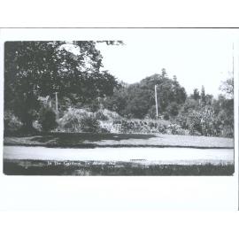 In the Gardens, Te Aroha, N.Z.