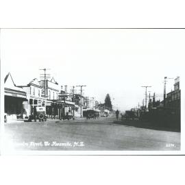 Alexandra Street, Te Awamutu, N.Z.