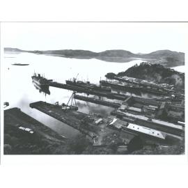 Carnatic Waiwera Gothic