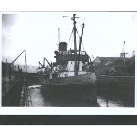 Awarua (4)