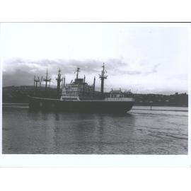 Balong (4)