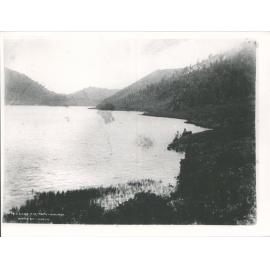 Lake Tikitapu (Blue Lake)