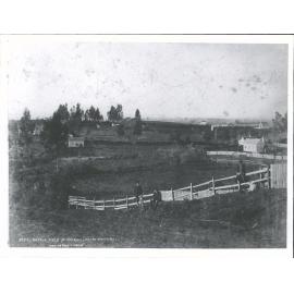 Battlefield from Kihikihi