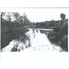 Pond at Timaru Park