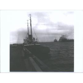 BLUFF-RODE ZEE (3) (DUTCH TUG)